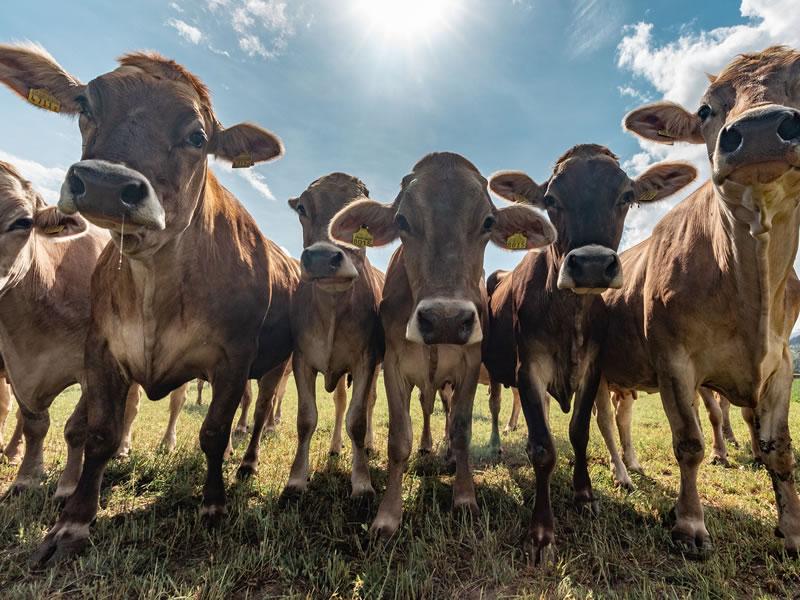 Air Cargo Charter Best Chattered Flights Strategic Jet Stream